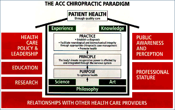 The Chiropractic Paradigm.